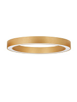 Dimmable by Remote Control & APP Brass Gold Aluminium Acrylic LED 59 Watt 220-240Volt 5164Lm IP20 2700-4000K CCT by Remote Control D: 80 H: 8 cm
