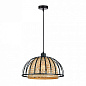 A7071SP-1BK Arte Lamp Woodstock подвесной светильник 40W — фото 1