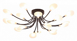 A7423PL-20BK Arte Lamp Guimet потолочная люстра G4 20х3W