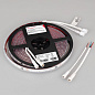039602 Arlight Лента герметичная SPI-PFS-B60-12mm 24V RGB-PX6-BPT (12 W/m, IP68, 5060, 5m) — фото 3