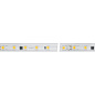 027056(2) Arlight Лента герметичная ARL-PV-B54-15.5mm 230V White6000 (8 W/m, IP65, 5060, 50m) — фото 1