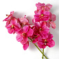 Искусственное растение Vanda Orchids Eichholtz 119284 — фото 2