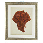 111741 Prints EC258 Antique Red Corals set of 6 Eichholtz