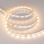 Светодиодная лента Arlight RT-A60-8mm 24 В IP20 4.8 Вт/м 60 LED/м 8 мм CRI>85 50 м — фото 2