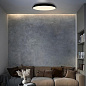 10226 Black Loft it Brim потолочный светильник, 36Вт, 4000K, 2520лм, черный — фото 6