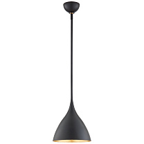 Agnes Small Pendant матовый черный с золотым интерьером