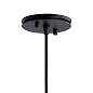 Danika 1 Light Pendant Black подвесной светильник 43683BK Kichler — фото 2