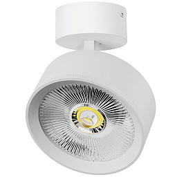 Накладной светильник Alta Pro A5736SO Lightstar