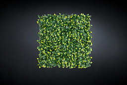 1142346.60 VGnewtrend Pittosporum Зеленая стена из искусственных растений