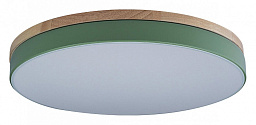 10001/36 Green Loft It Axel потолочный накладной светильник круглый зеленый