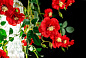 FLOWER POWER WILD RED ROSES SQUARE Светодиодный потолочный светильник из муранского стекла VGnewtrend — фото 4