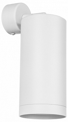 RB64863486 Lightstar Rullo спот 50W