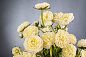 TULIPIER BABILON RANUNCOLO SMALL среднее цветочное украшение, VGnewtrend — фото 3