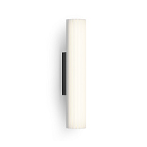 RAY - Matte Black
