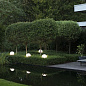 Садовый светильник Moon N° 6 Roger Pradier — фото 4