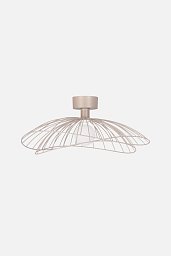 268002 Globen Lighting Ray настенно-потолочный светильник