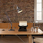 33288 Original 1227 Anglepoise настольная лампа — фото 11