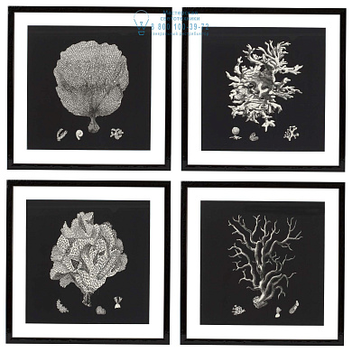 106545 Prints EC191 Black & Tan Corals set of 4  Eichholtz