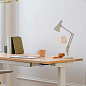 Настольная лампа Anglepoise 90 Mini Mini Белый жасмин 33138 — фото 4