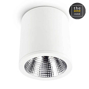 Ceiling fixture Exit 29.6W 3000K CRI 80 White IP23 2646lm