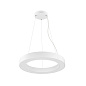 1008590 SLV MEDO RING 60 PD DALI CCT white подвесной кольцевой светильник — фото 1