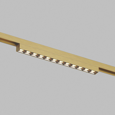 Трековый светильник Denkirs Shine DK5971-SB