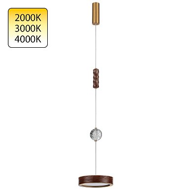 Подвесной светильник Odeon Light RIVIERA 5450/32LB