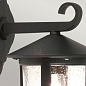 Настенный уличный светильник Hereford Elstead BL21-G-BLACK черный — фото 1
