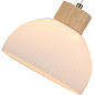 A4184SP-1BR Arte Lamp Caprice подвесной светильник E27 1х60W — фото 1
