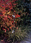 Уличный светильник Lombardo CNC 35 2.0 Swing Garden 100 — фото 4