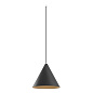 CONE P 10.30 W + INTERA BASE Led Technology подвесной светильник — фото 4