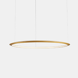 CD5D-00X9AZDUEF Leds C4 Circular встраиваемый потолочный светильник с внутренним кольцом золотой