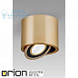 Прожектор Orion Luni Str 10-468 gold/ABL
