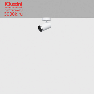 QC40 Palco Recessed iGuzzini Palco single surface Ø37 - spot - remote driver