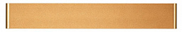 4295/20WL Odeon Light Framant накладной светильник линейный золотого оттенка