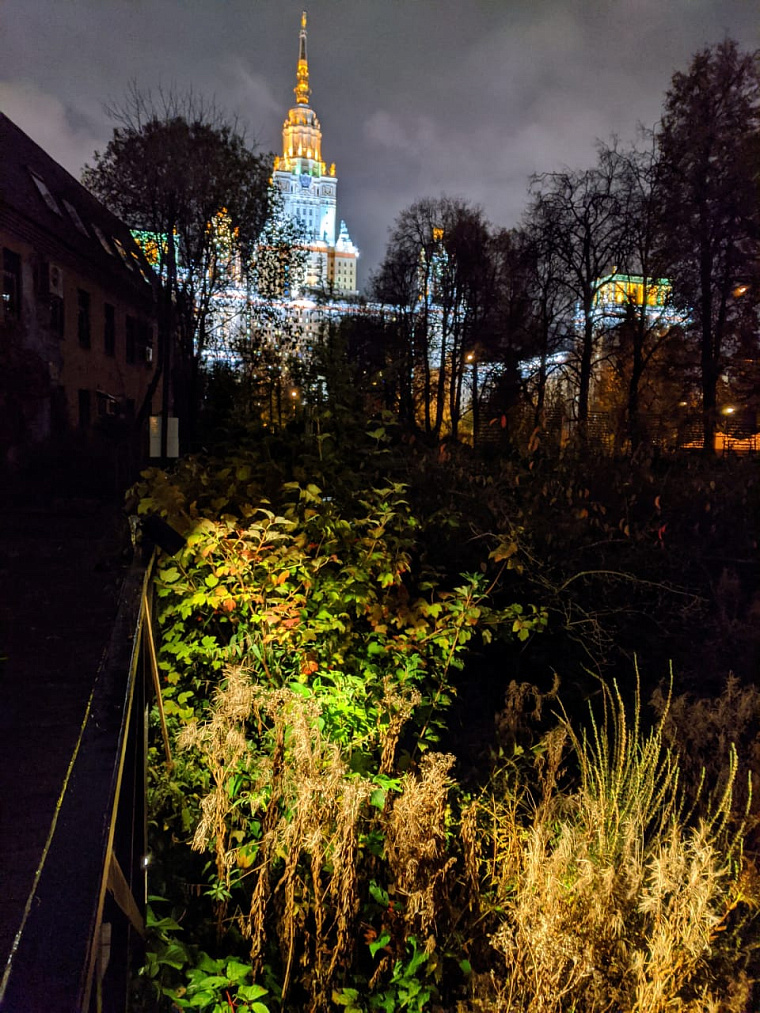 Участие в проекте освещения Ботанического сада г. Москвы "Осветим вместе" — фото 13