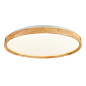 Потолочный светильник Evoluce Delia SLE201382-01 — фото 1