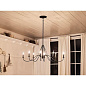 Freesia 8 Light Oval Chandelier Textured Black люстра 52457BKT Kichler — фото 3