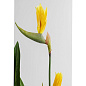 51684 Деко Растение Райские Цветы 190см Kare Design
