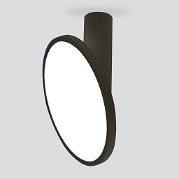 a047772 Elektrostandard Brain потолочный акцентный светильник с круглым дисковым плафоном на коротком основании
