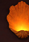 Настенный светильник Scallop Porta Romana TWL52S — фото 9
