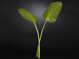 1040832.60 VGnewtrend Bird Of Paradise Полиэстер Искусственное растение
