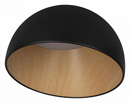 10197/350 Black Loft It Egg накладной потолочный светильник куполообразной формы черный