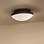 Bretta 17.75" 3 Light Flush Mount Black потолочный светильник 52545BK Kichler — фото 2