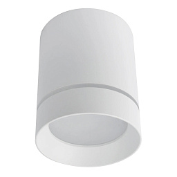 A1909PL-1WH Arte Lamp ELLE накладной потолочный светильник цилиндрический светодиодный