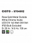 5704802 CIOTO Novaluce светильник LED E14 1x5W IP20
