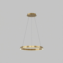 CS4A-00V9AZRUEF Leds C4 Circular подвесной светильник кольцевой вниз направленный золотистого цвета