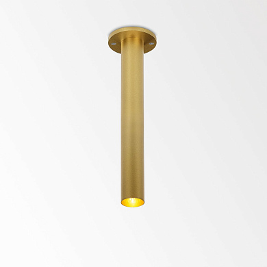 NEEDLE 1 92713 FG фламандское золото Delta Light накладной потолочный светильник