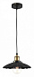 LOFT1101 Loft it Factory filament подвесной светильник, 60Вт, черный — фото 1