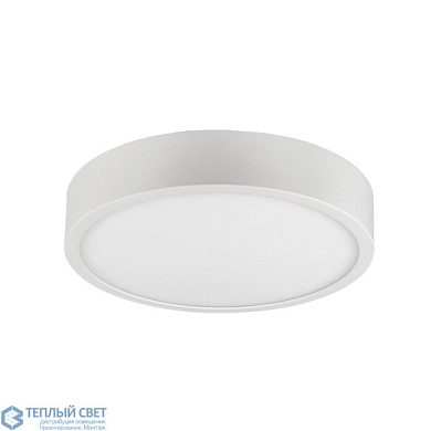 потолочный светильник цилиндрического корпуса с матовым рассеивателем